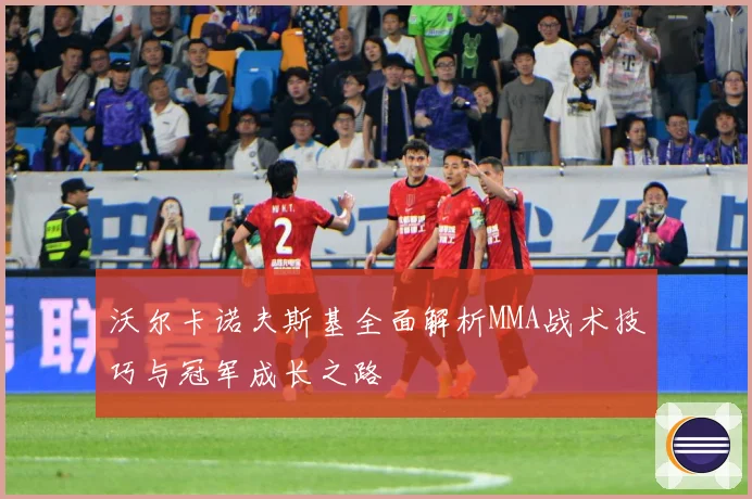 沃尔卡诺夫斯基全面解析MMA战术技巧与冠军成长之路