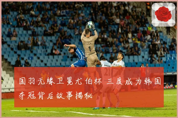 国羽无缘卫冕尤伯杯 三度成为韩国夺冠背后故事揭秘