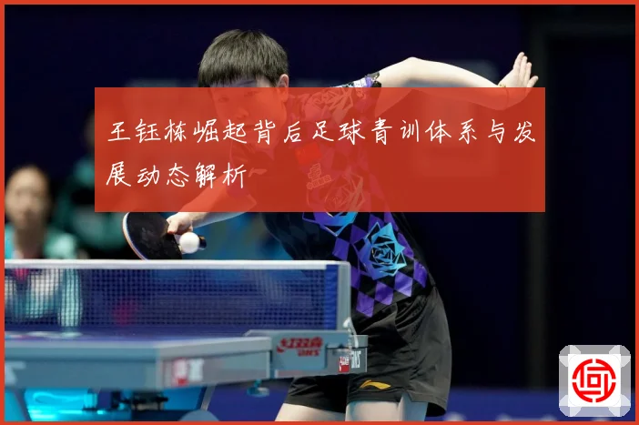 王钰栋崛起背后足球青训体系与发展动态解析